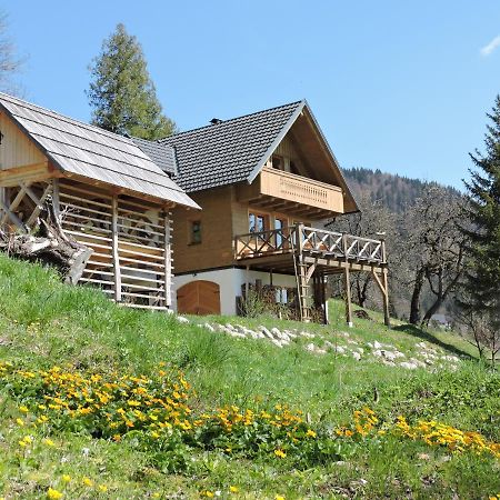 Villa Podjelje Extérieur photo